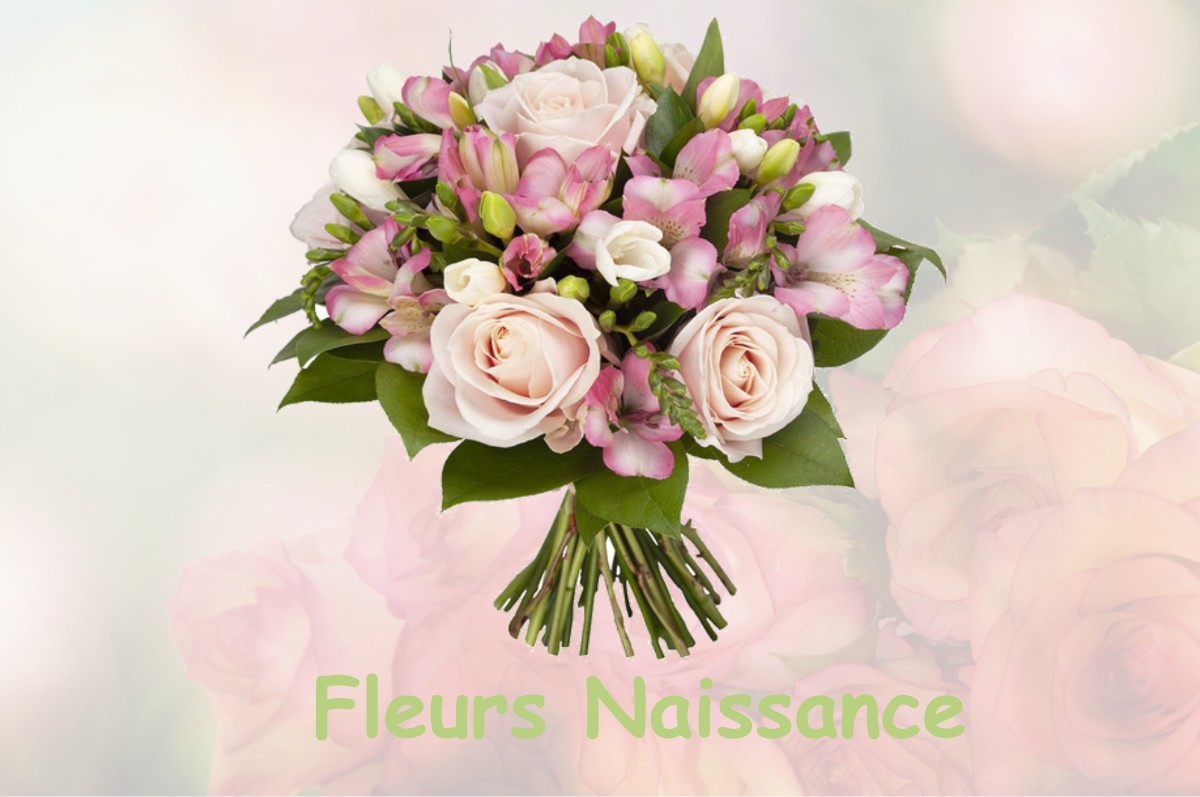 fleurs naissance BOUSSENS