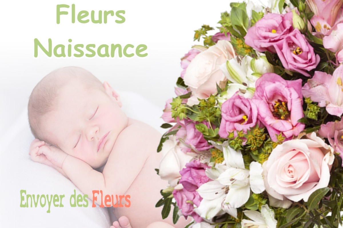 lIVRAISON FLEURS NAISSANCE à BOUSSENS